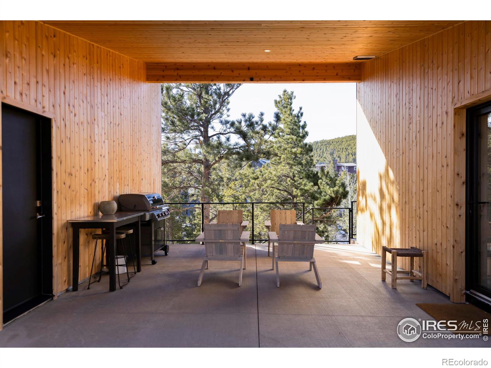 MLS Image #25 for 103 w wildewood drive,nederland, Colorado