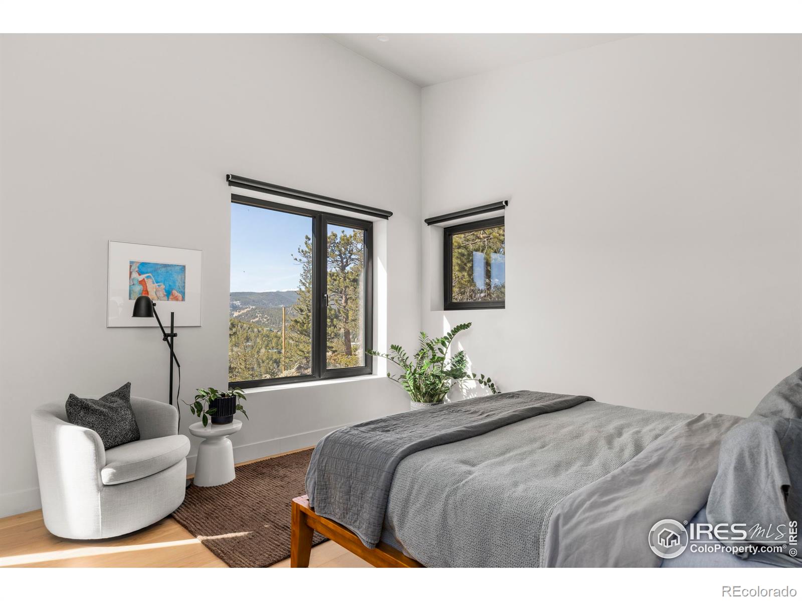 MLS Image #3 for 103 w wildewood drive,nederland, Colorado