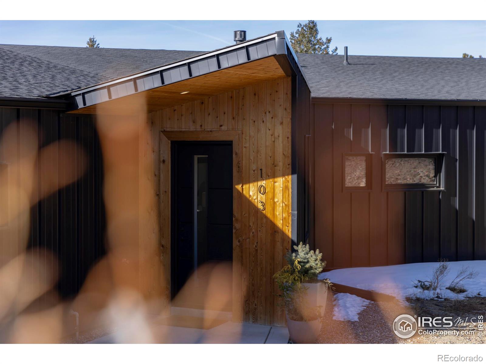 MLS Image #4 for 103 w wildewood drive,nederland, Colorado