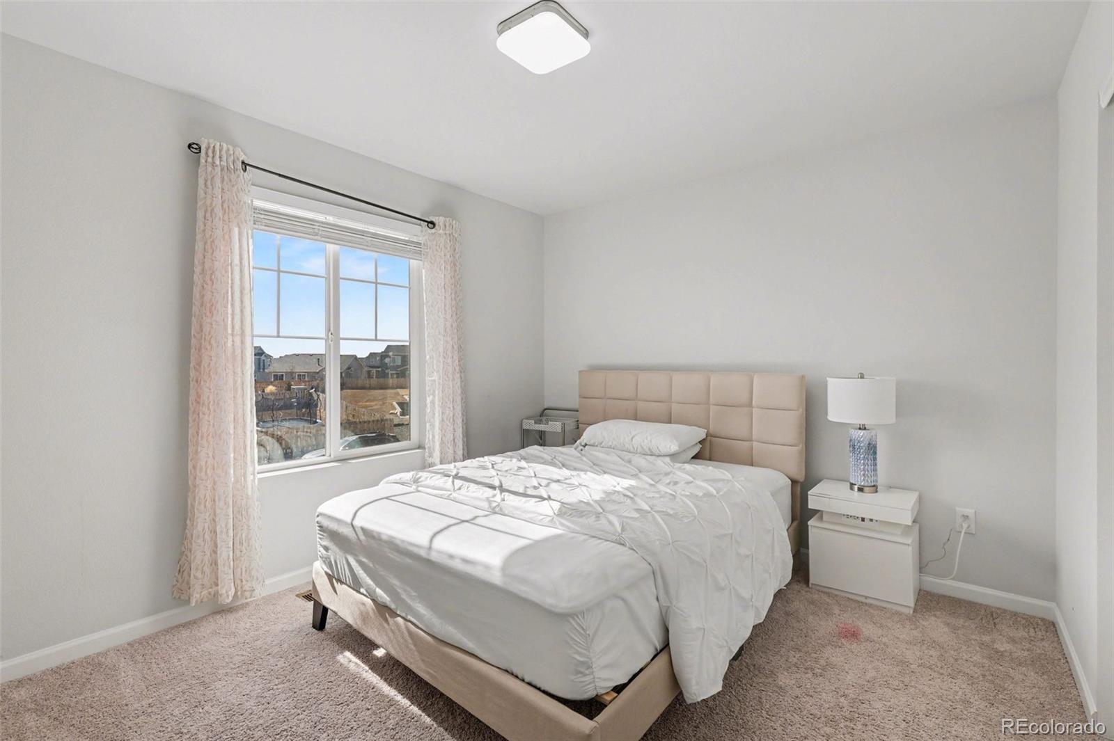 MLS Image #18 for 12445 e 101st drive,commerce city, Colorado