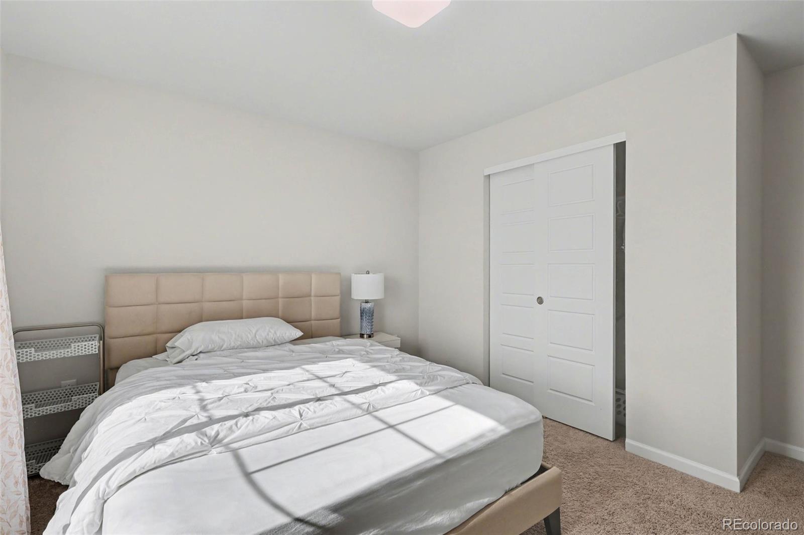 MLS Image #19 for 12445 e 101st drive,commerce city, Colorado
