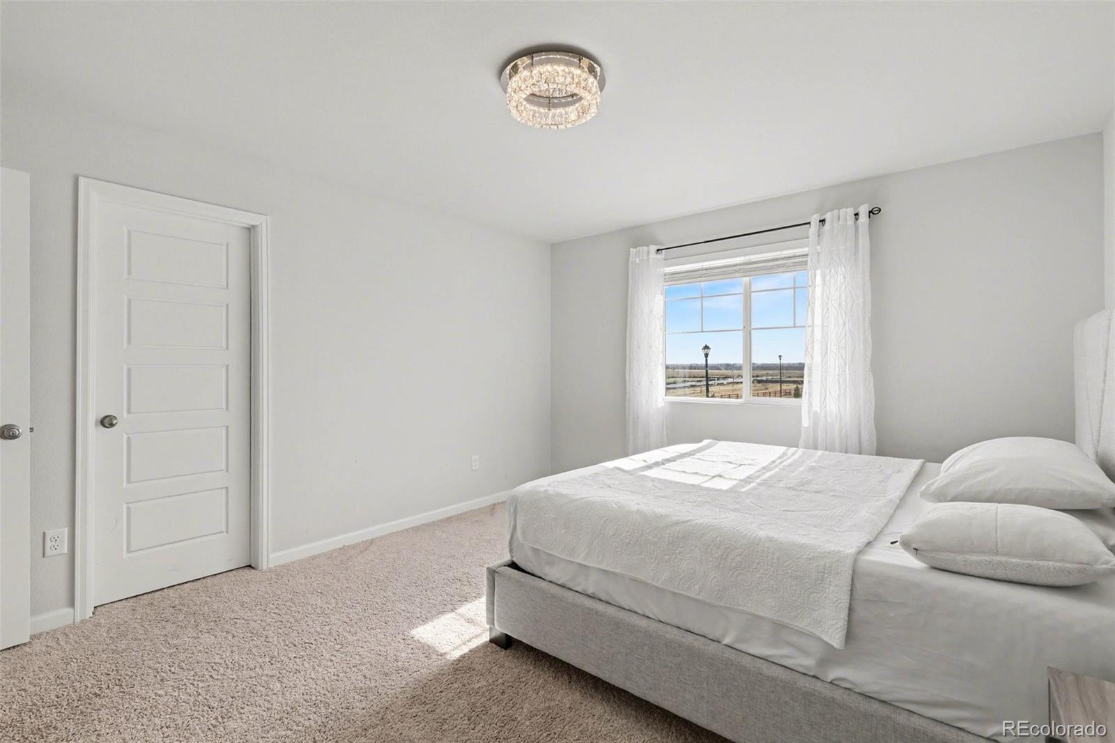 MLS Image #21 for 12445 e 101st drive,commerce city, Colorado