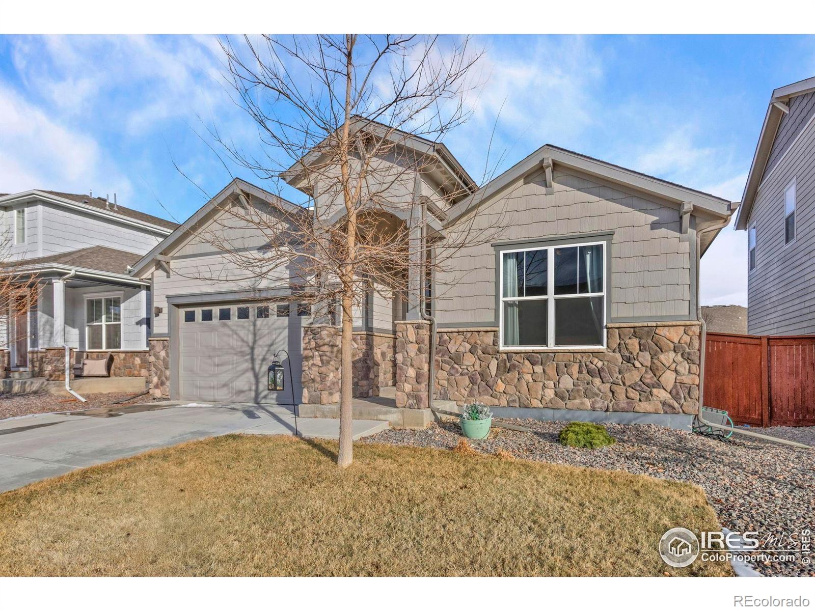 MLS Image #1 for 2093  gather court,windsor, Colorado