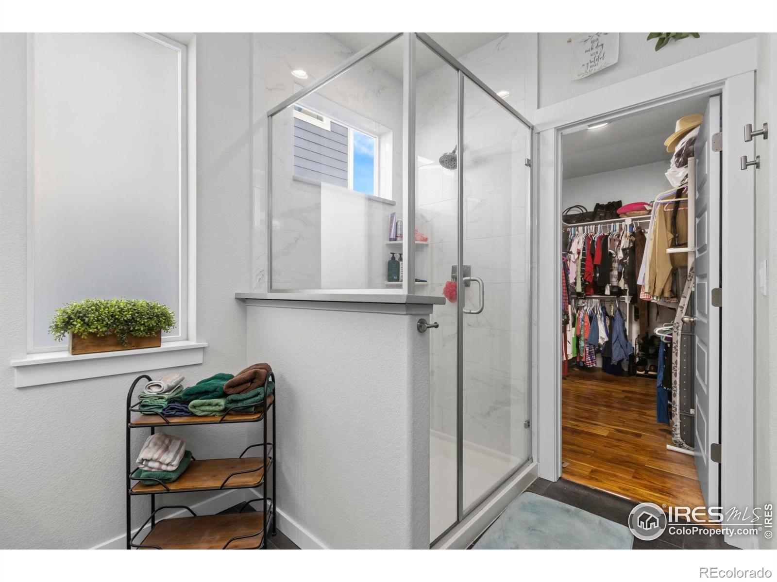 MLS Image #20 for 2093  gather court,windsor, Colorado