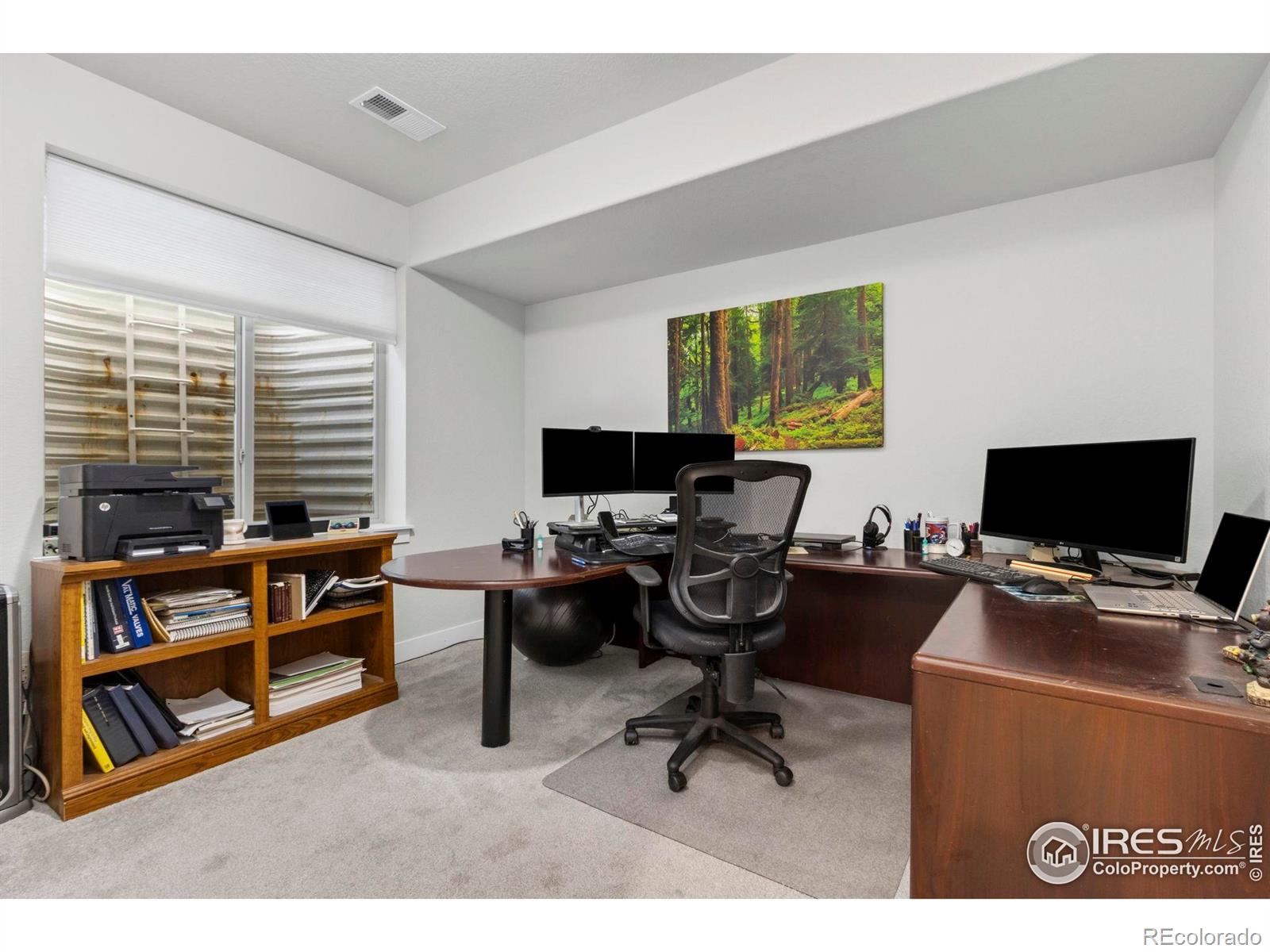 MLS Image #29 for 2093  gather court,windsor, Colorado