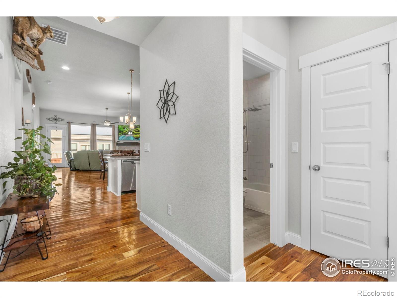 MLS Image #4 for 2093  gather court,windsor, Colorado
