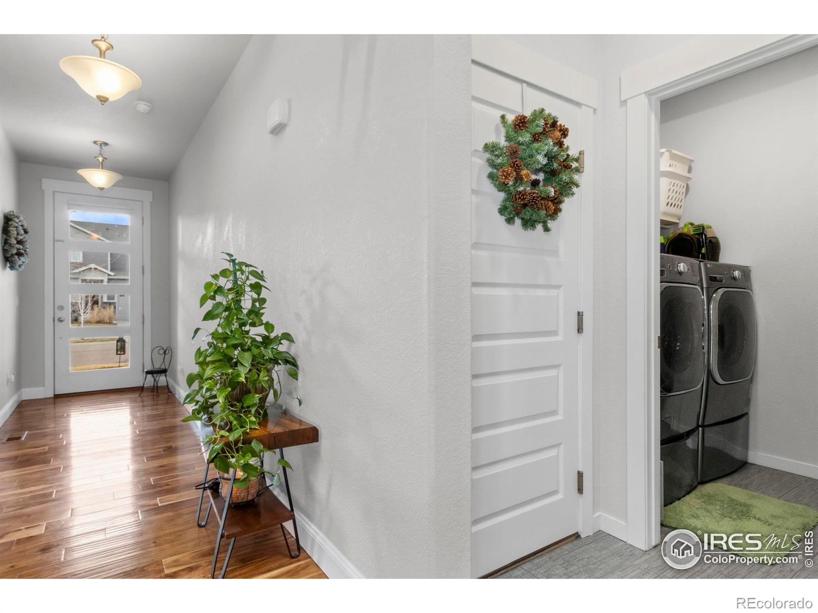MLS Image #5 for 2093  gather court,windsor, Colorado