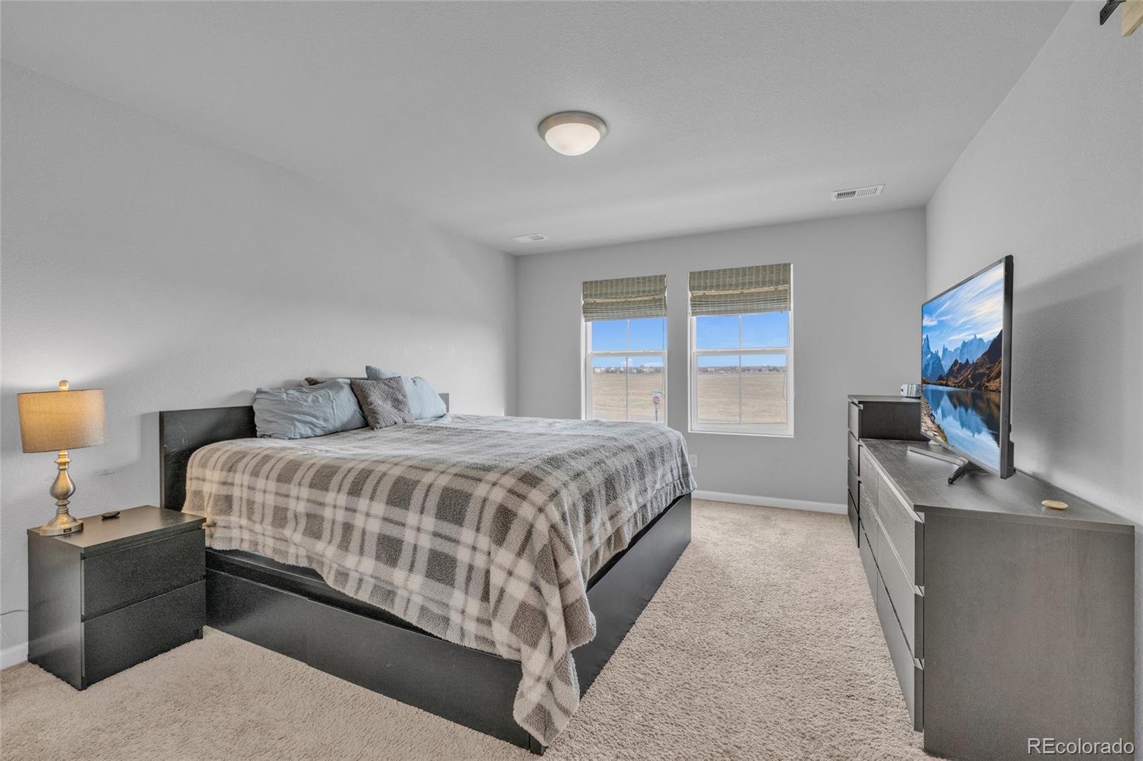 MLS Image #21 for 10581  paris street,henderson, Colorado