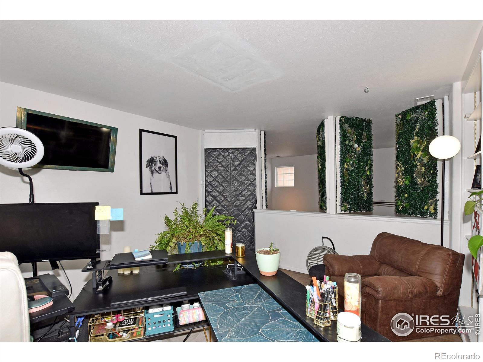 MLS Image #36 for 1102  fenwick drive,fort collins, Colorado