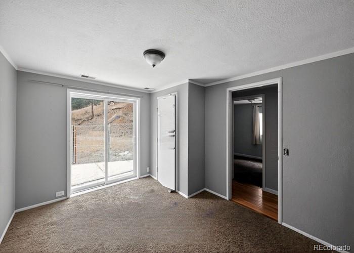 MLS Image #10 for 6498 s turkey creek road,morrison, Colorado