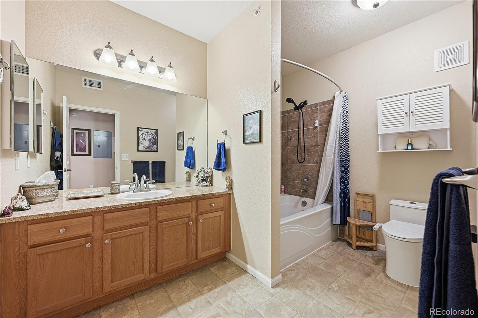 MLS Image #10 for 17525  wilde avenue,parker, Colorado
