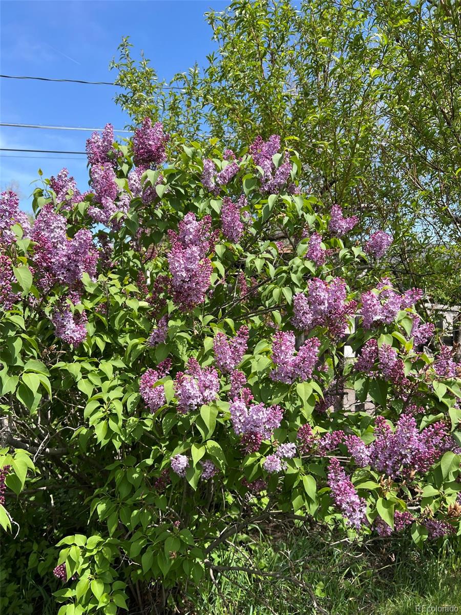 MLS Image #39 for 4528 w 27th avenue,denver, Colorado