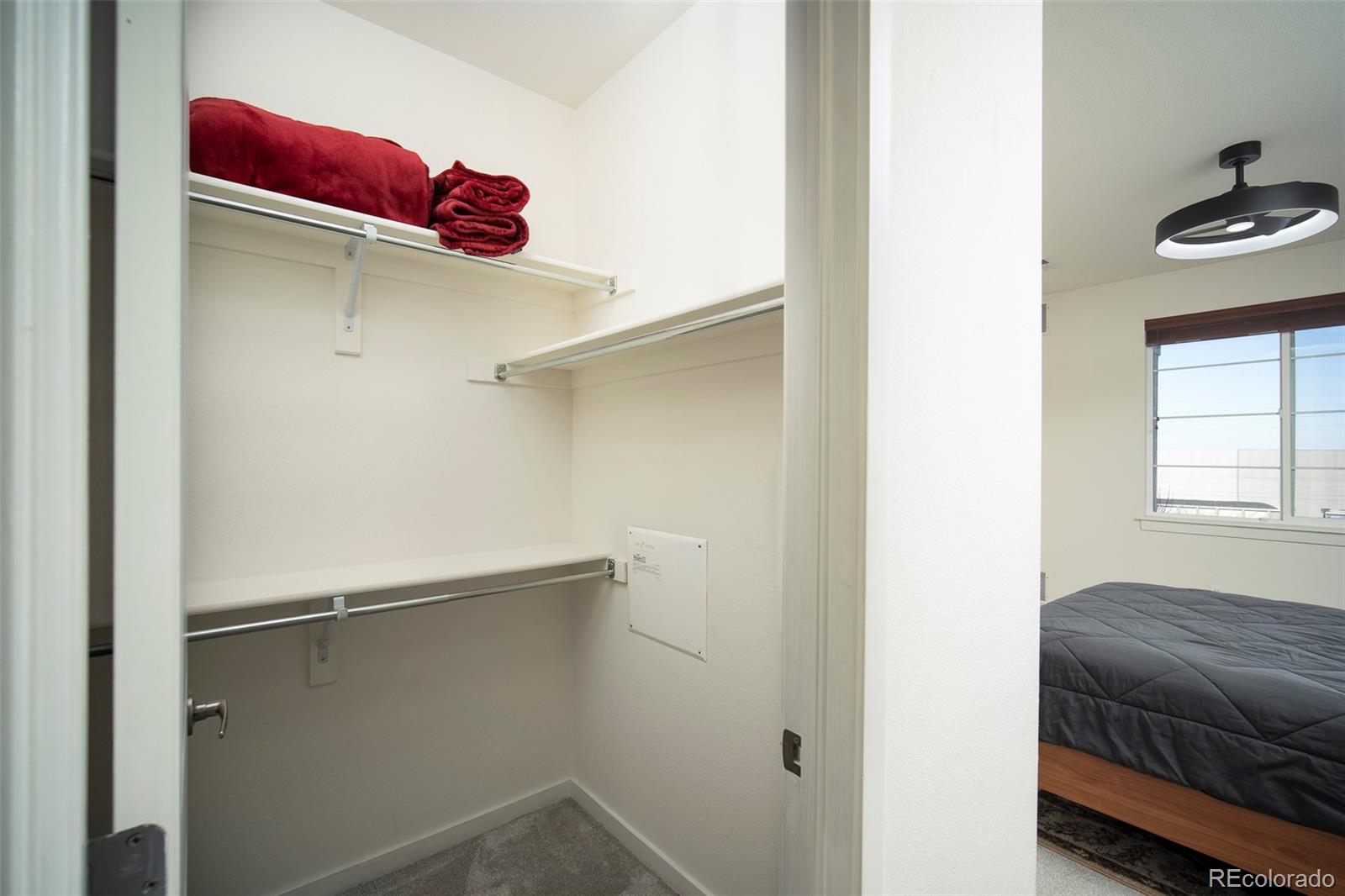 MLS Image #10 for 4100  albion street,denver, Colorado