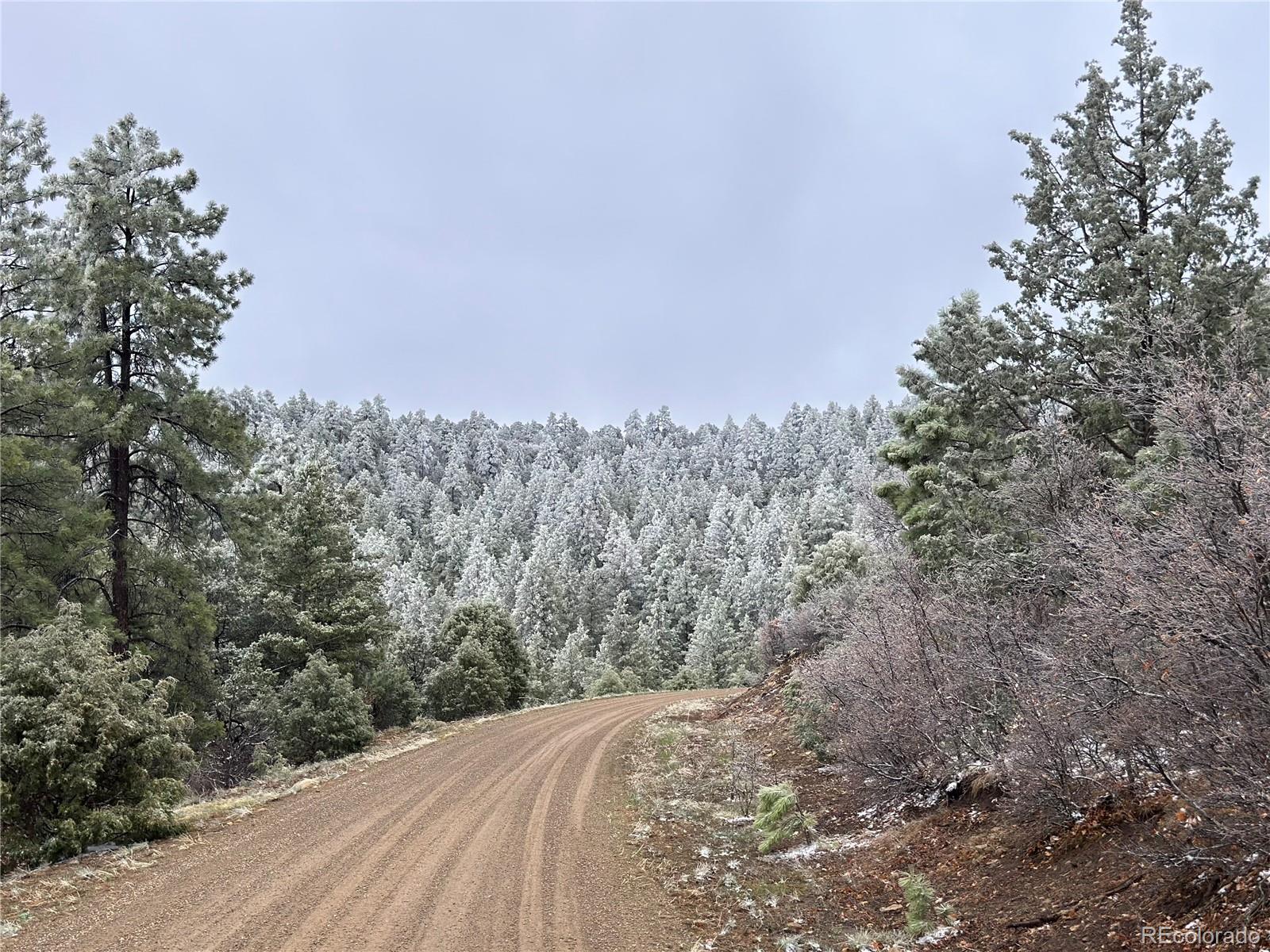 MLS Image #2 for 33280  turkey creek lane,trinidad, Colorado