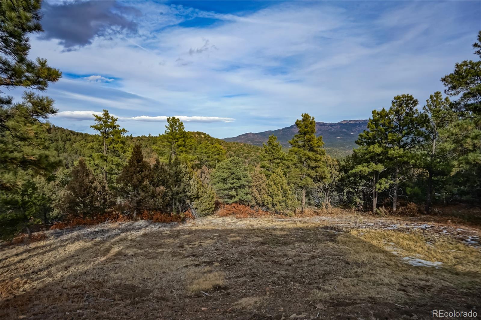 MLS Image #28 for 33280  turkey creek lane,trinidad, Colorado
