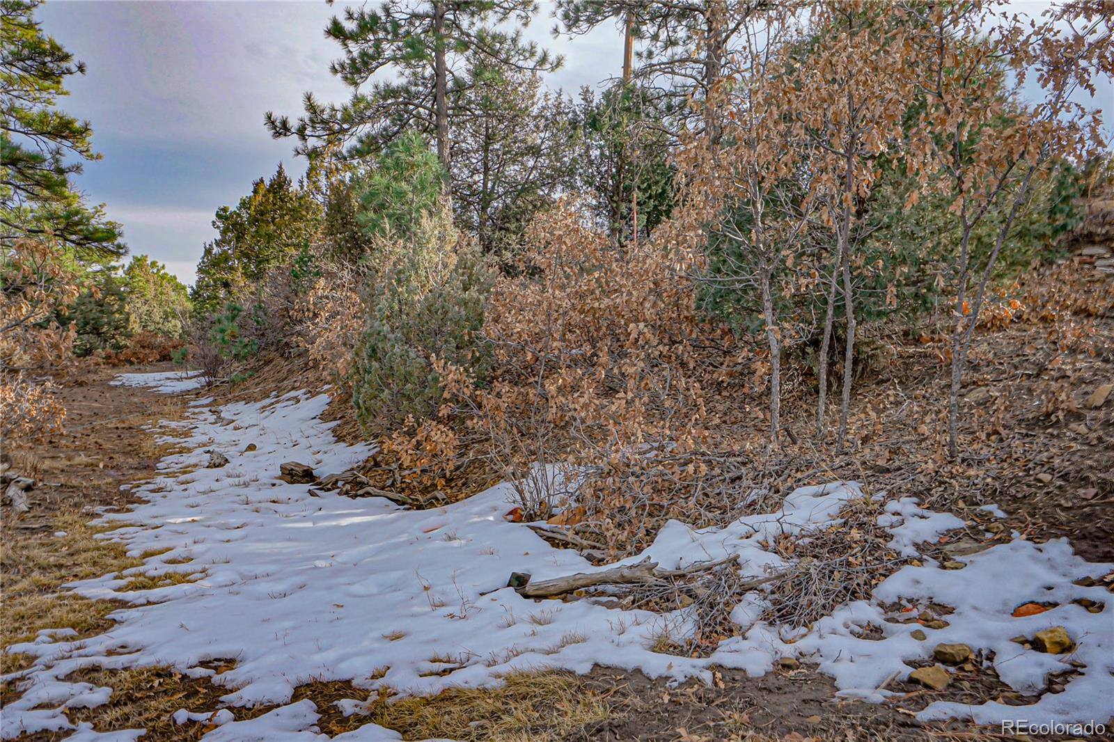 MLS Image #38 for 33280  turkey creek lane,trinidad, Colorado