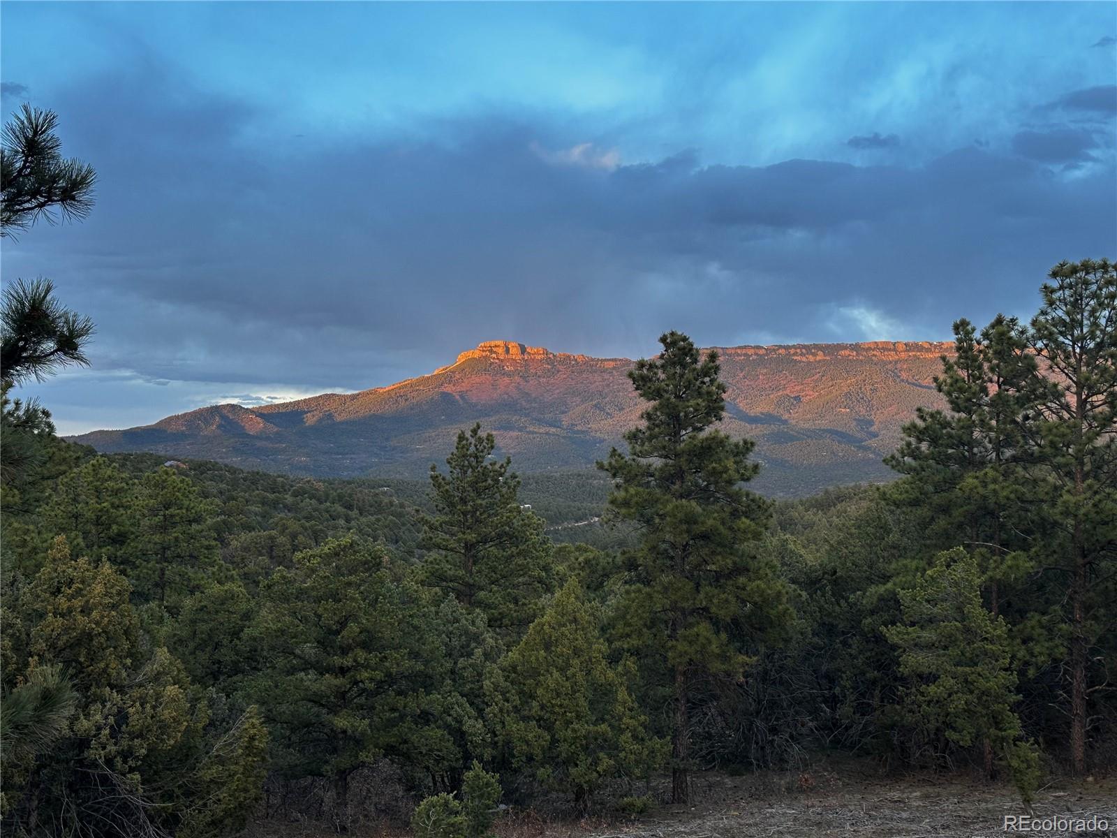 MLS Image #42 for 33280  turkey creek lane,trinidad, Colorado