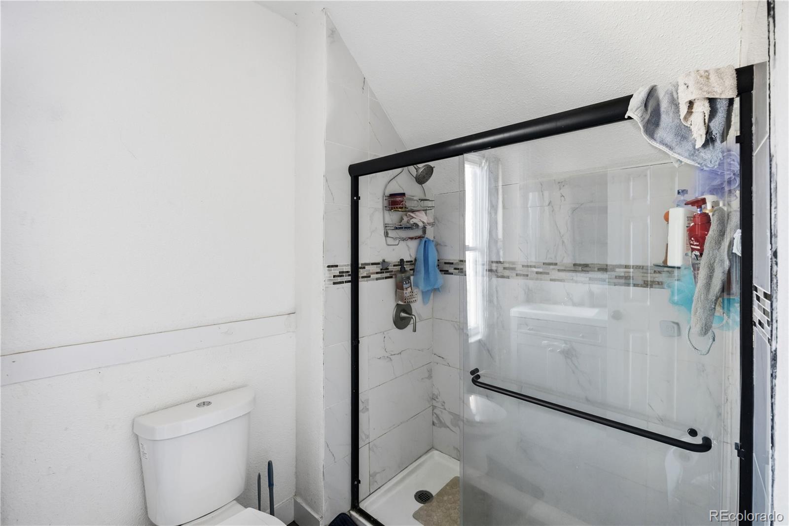MLS Image #17 for 3132 n downing street,denver, Colorado