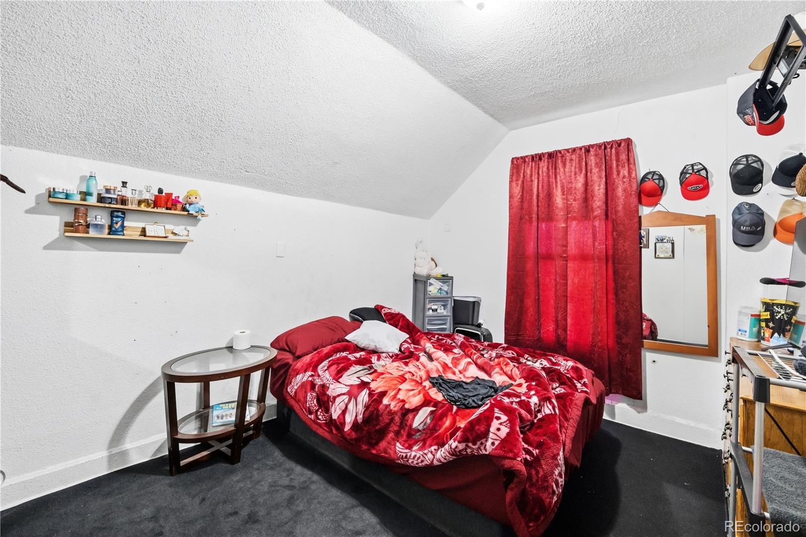 MLS Image #21 for 3132 n downing street,denver, Colorado