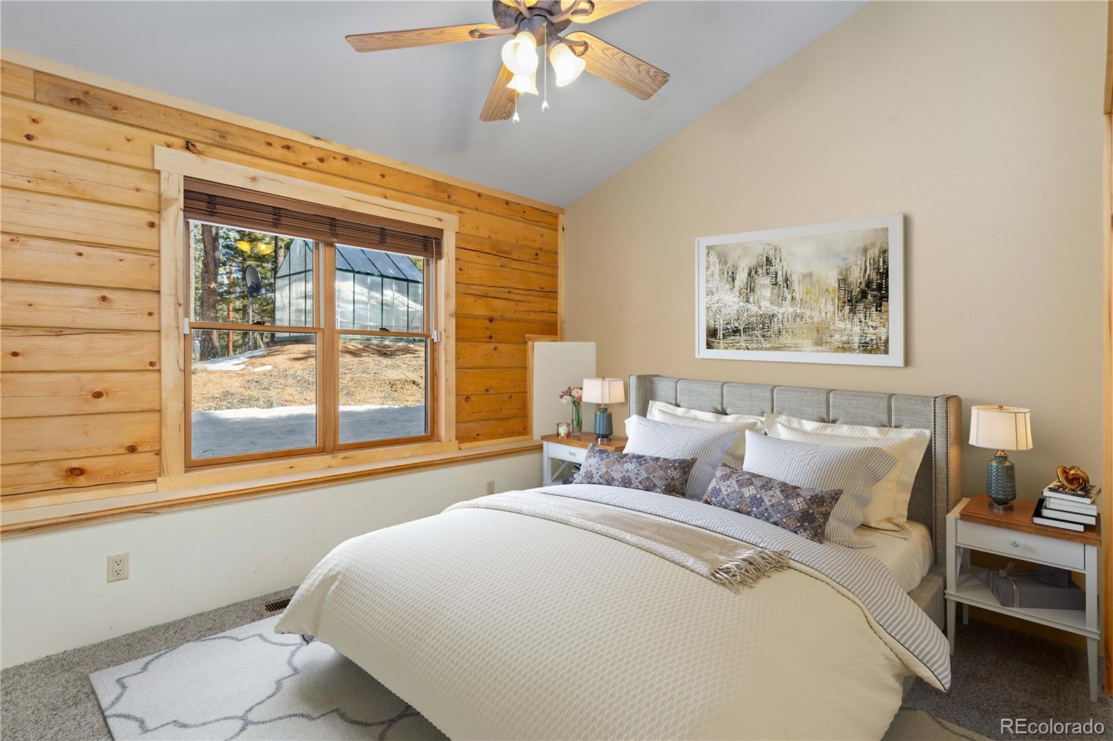 MLS Image #10 for 1910  wildhorn road,florissant, Colorado