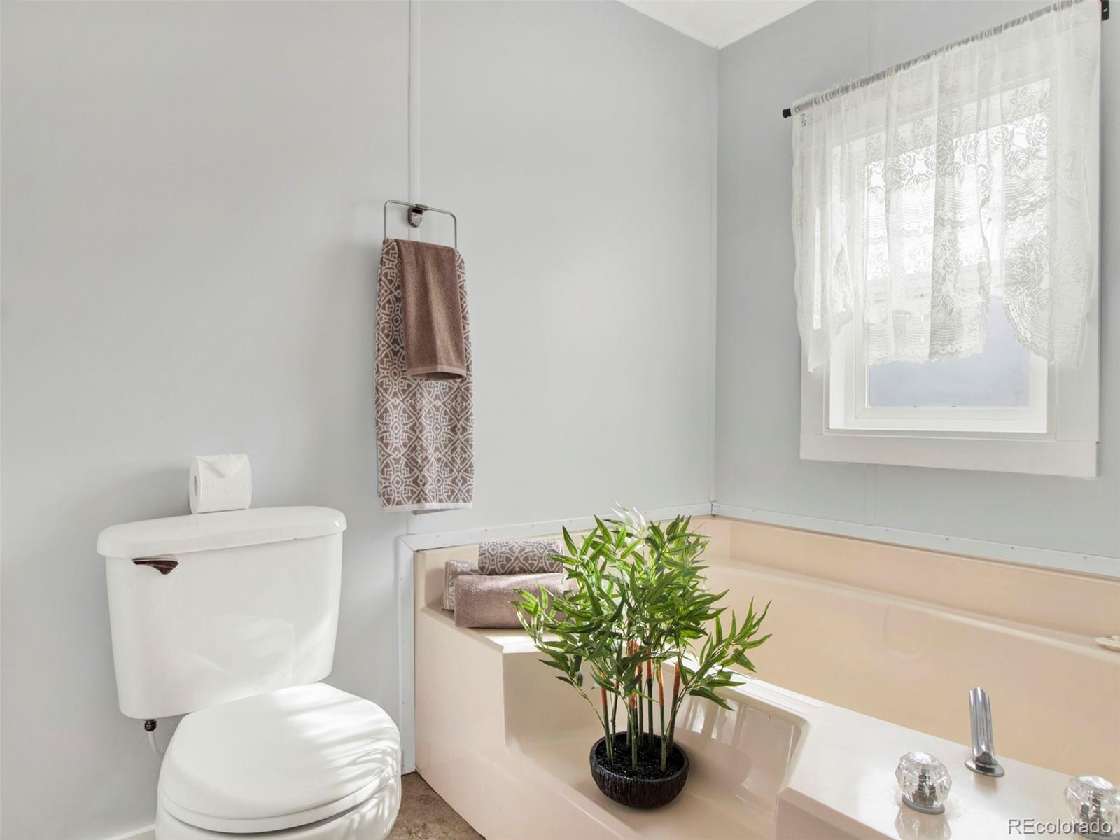 MLS Image #12 for 231  dahlia street,bennett, Colorado