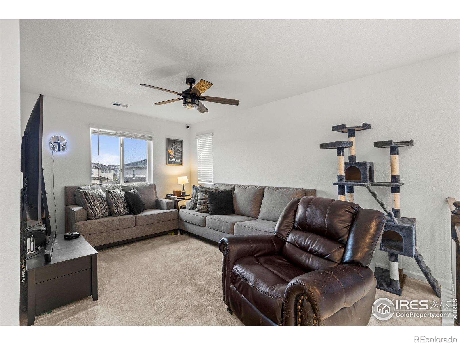 MLS Image #14 for 1228  argali drive,severance, Colorado