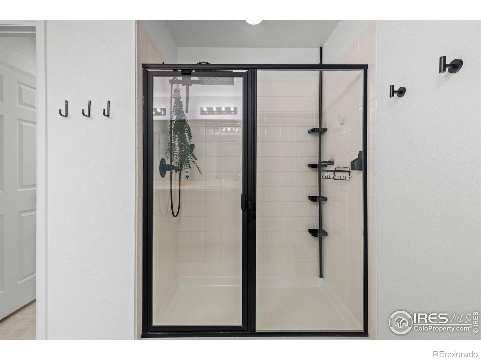 MLS Image #18 for 1228  argali drive,severance, Colorado