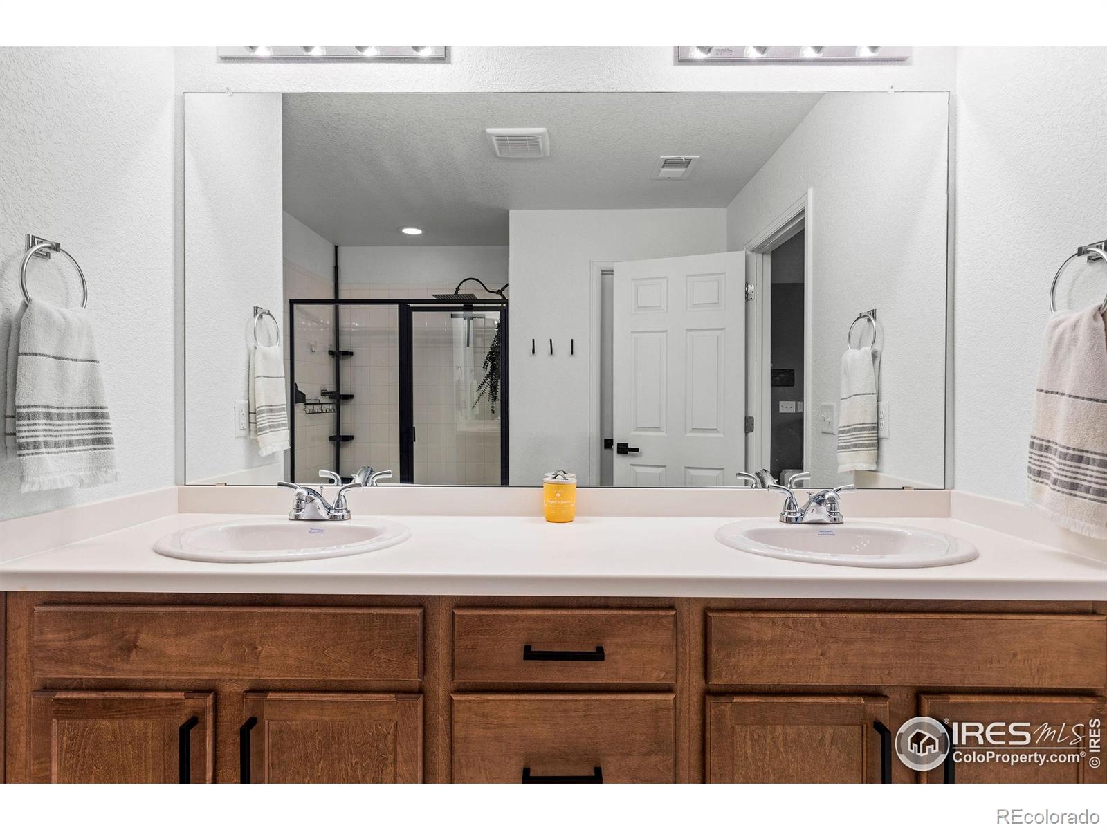 MLS Image #20 for 1228  argali drive,severance, Colorado
