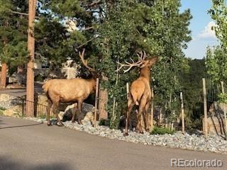 MLS Image #47 for 7262 s sourdough drive,morrison, Colorado