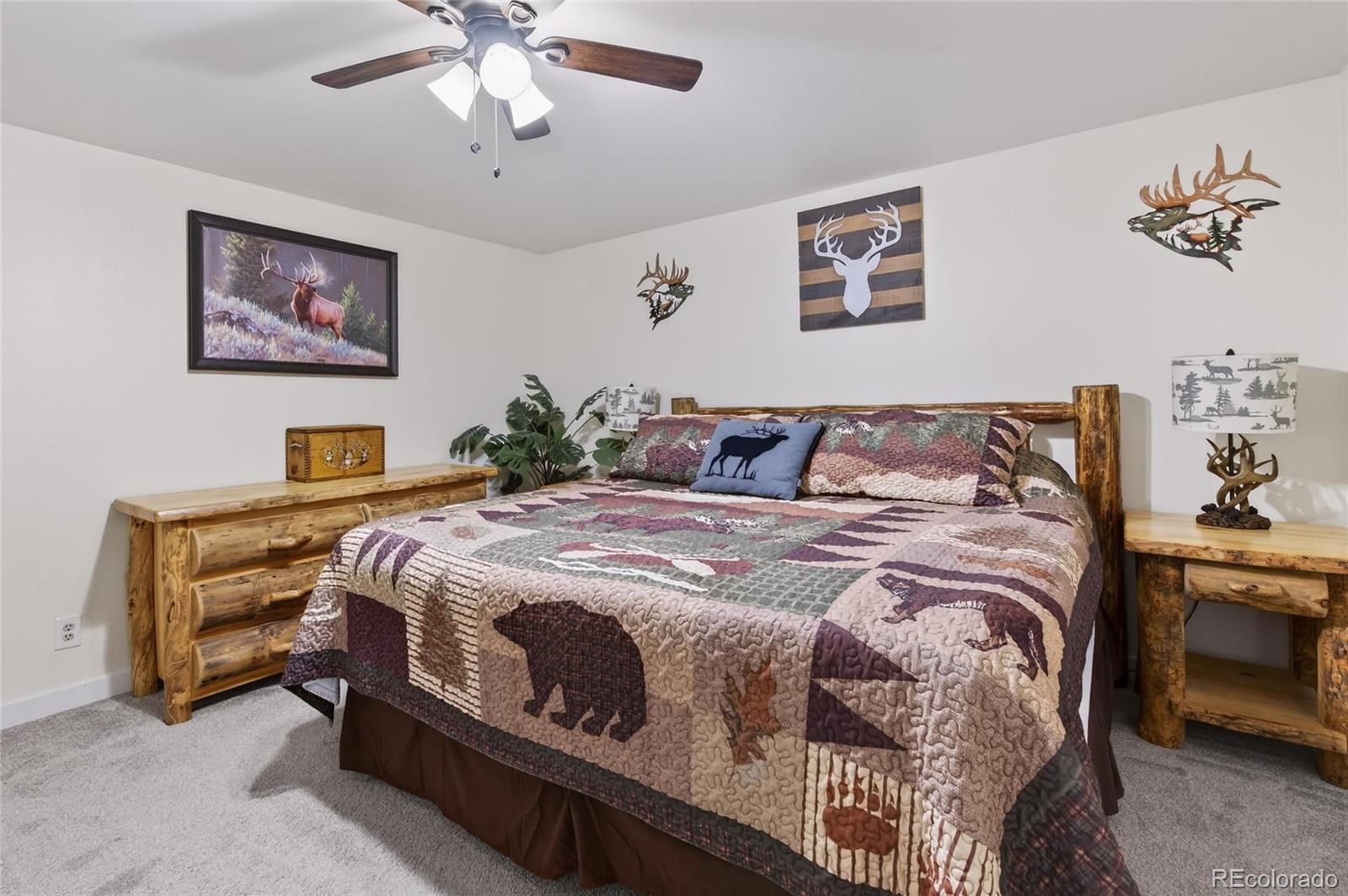 MLS Image #19 for 42812  ricki drive,parker, Colorado