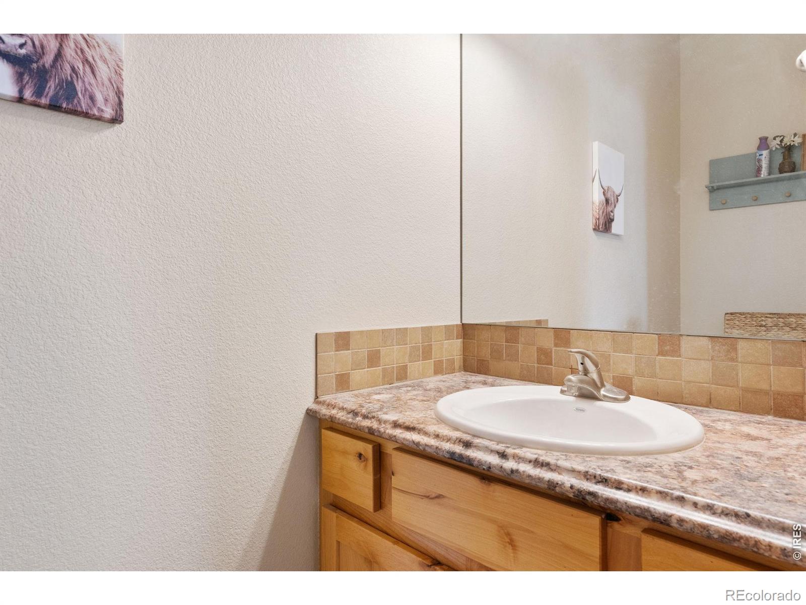 MLS Image #13 for 6861  mount toll court,wellington, Colorado