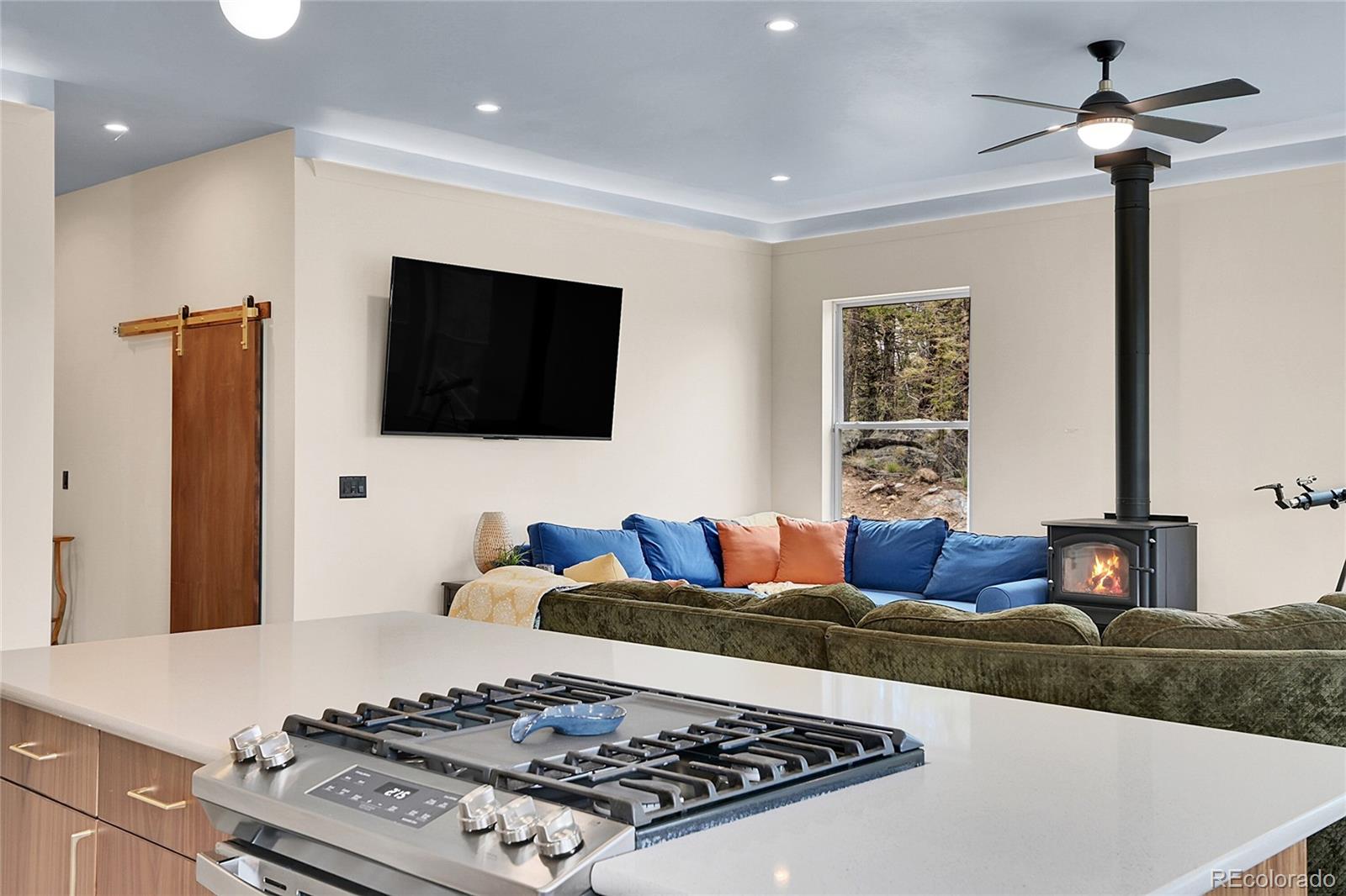 MLS Image #5 for 1023  chippewa road,jefferson, Colorado