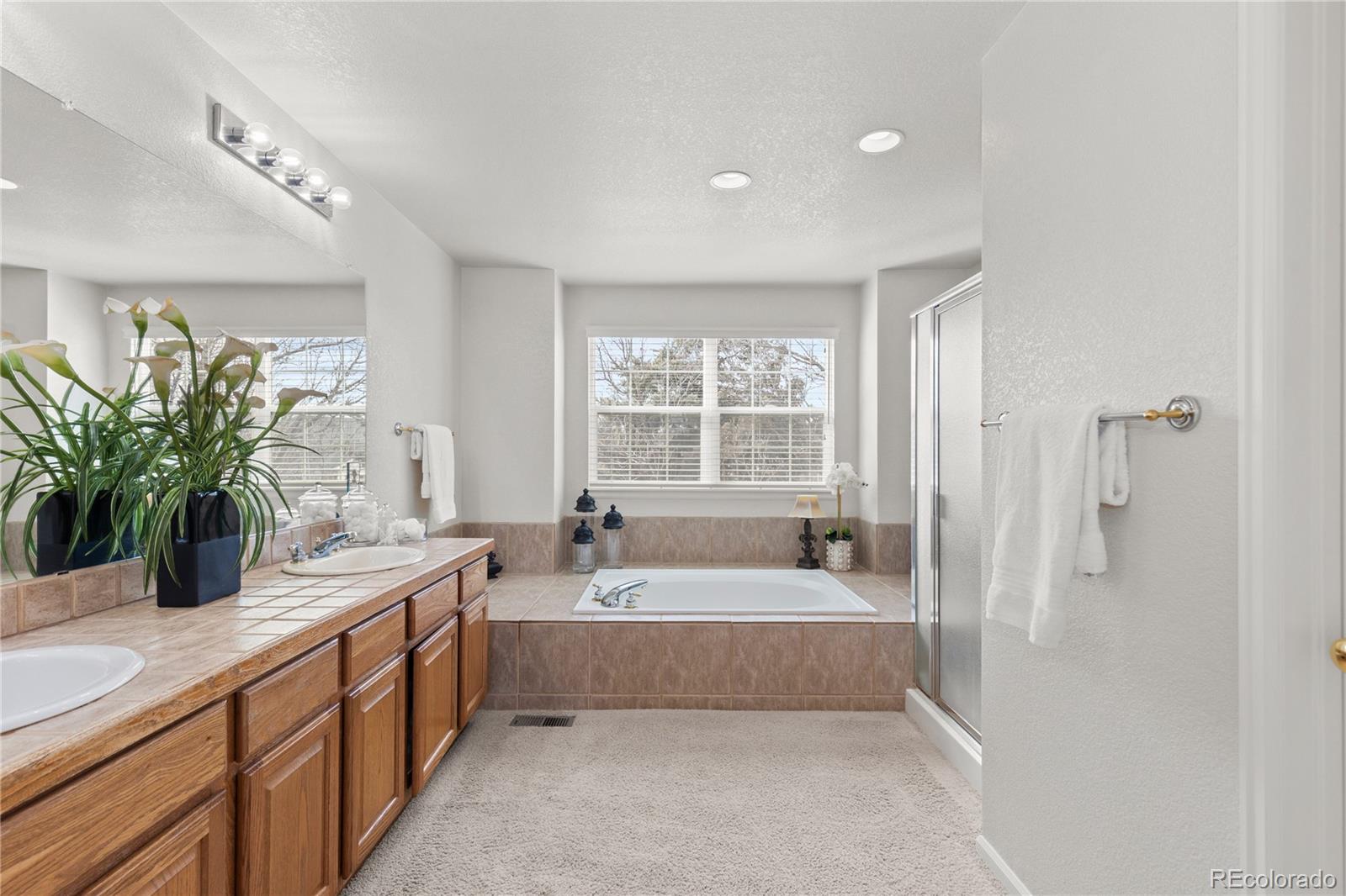MLS Image #32 for 8316  briar ridge drive,castle pines, Colorado