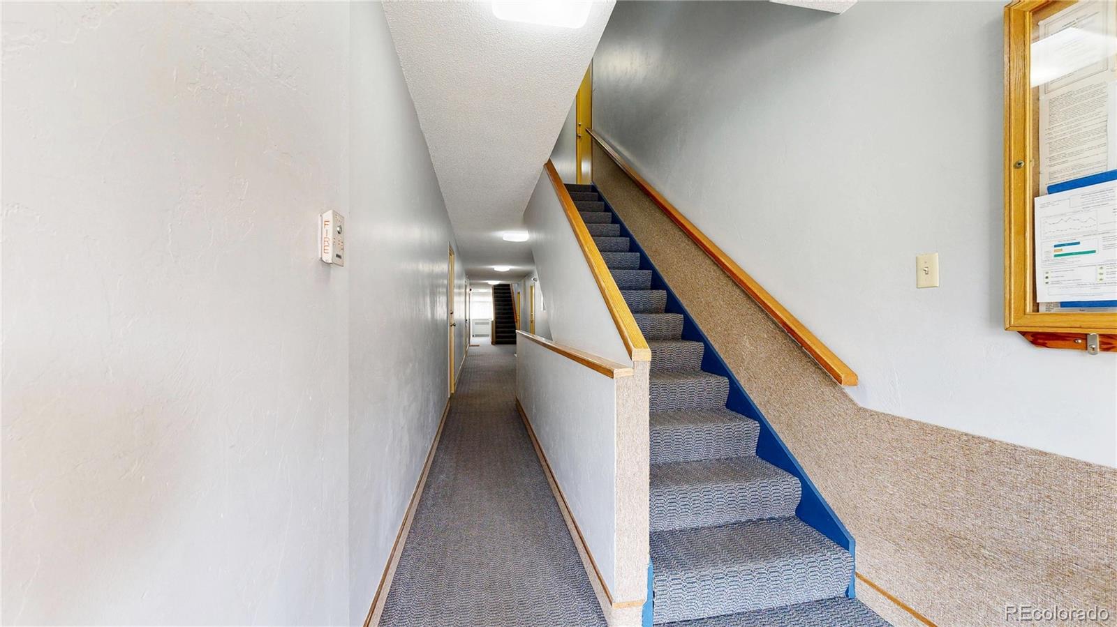 MLS Image #12 for 1221  illinois street,golden, Colorado