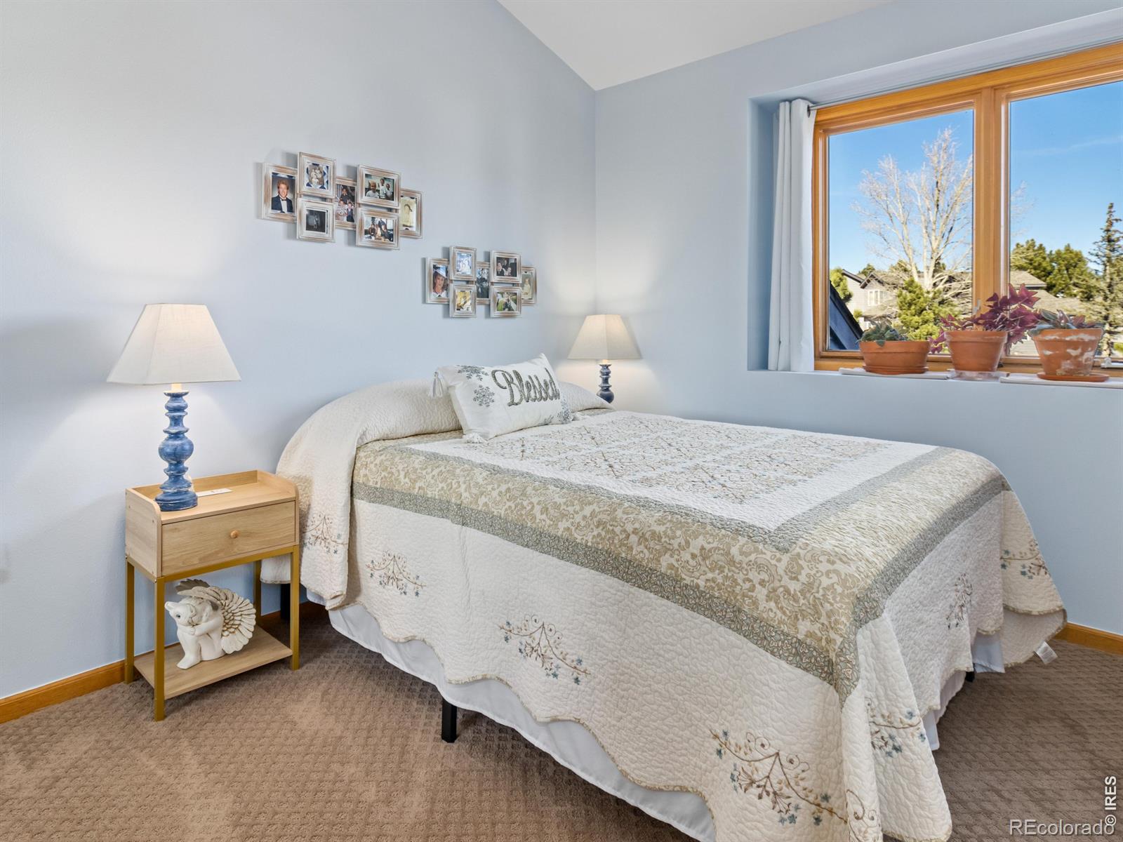 MLS Image #16 for 1442  raven circle,estes park, Colorado