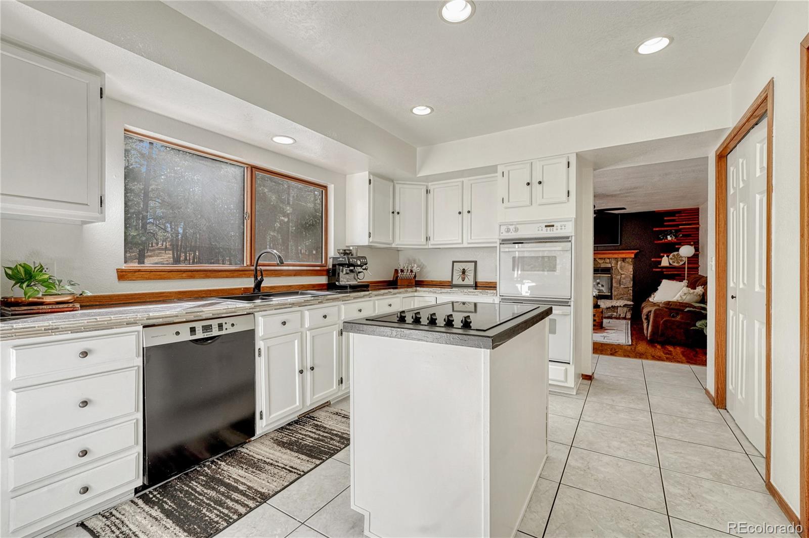 MLS Image #11 for 36424  forest trail,elizabeth, Colorado