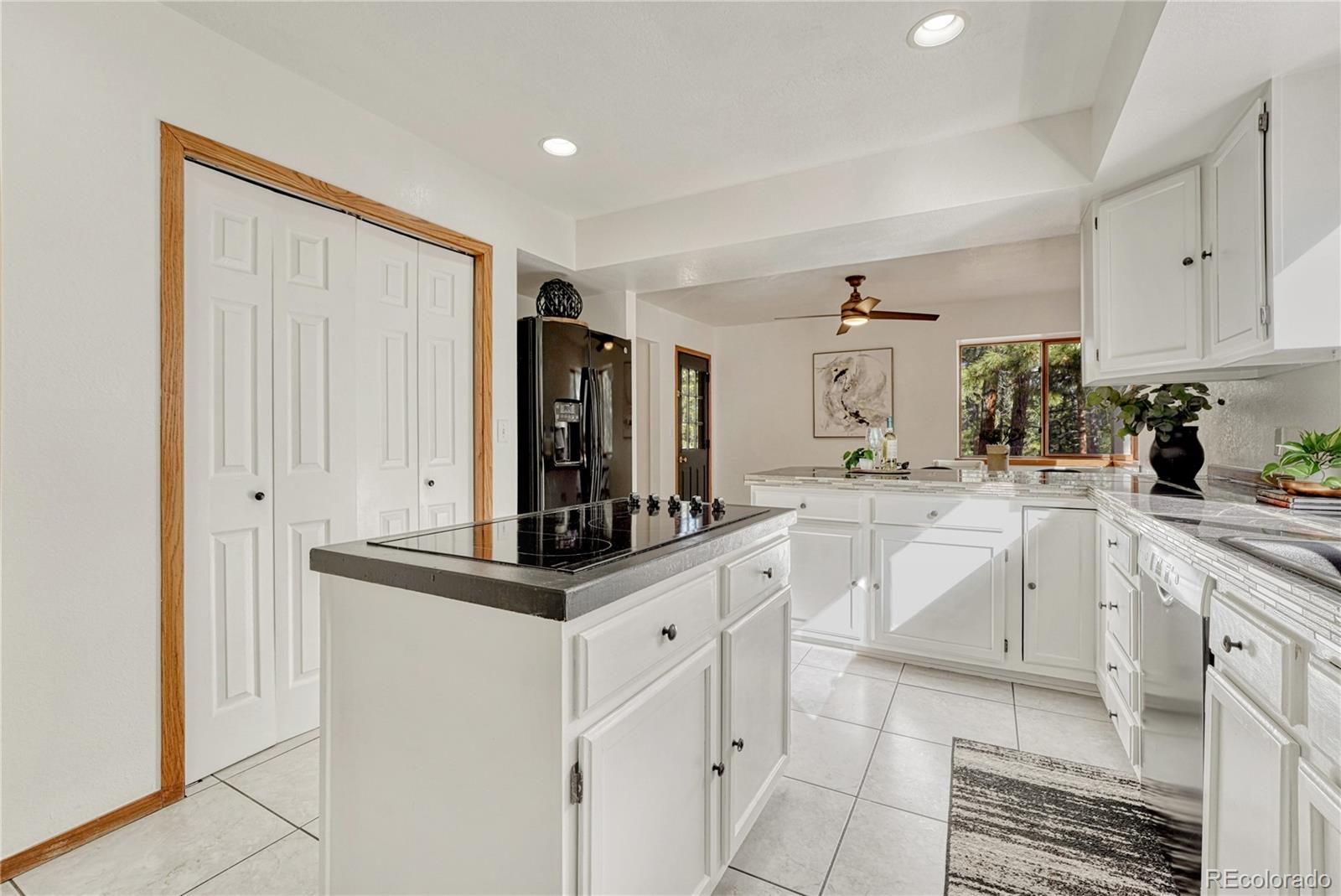 MLS Image #13 for 36424  forest trail,elizabeth, Colorado