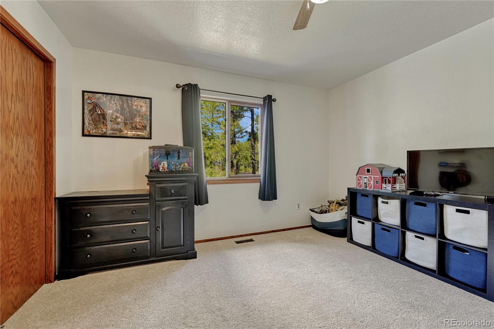 MLS Image #29 for 36424  forest trail,elizabeth, Colorado