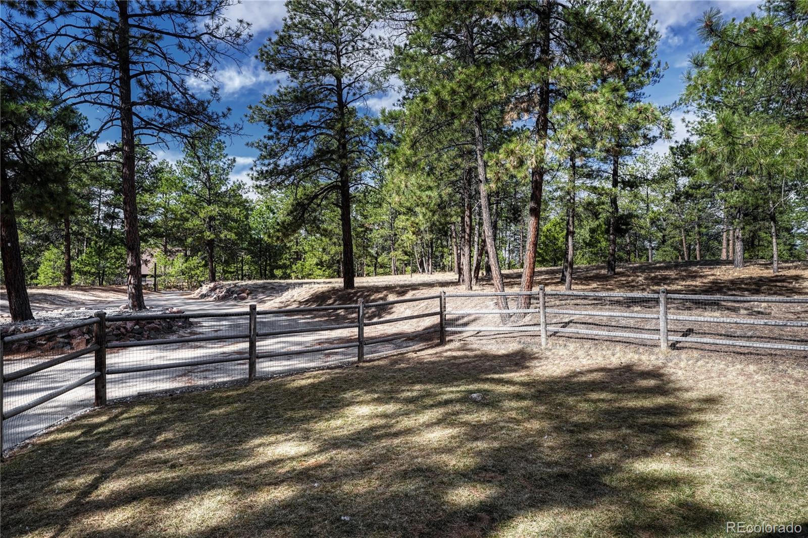 MLS Image #4 for 36424  forest trail,elizabeth, Colorado