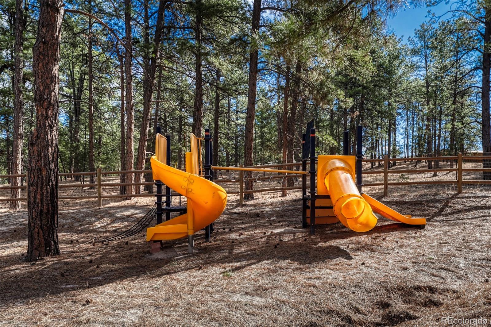 MLS Image #41 for 36424  forest trail,elizabeth, Colorado