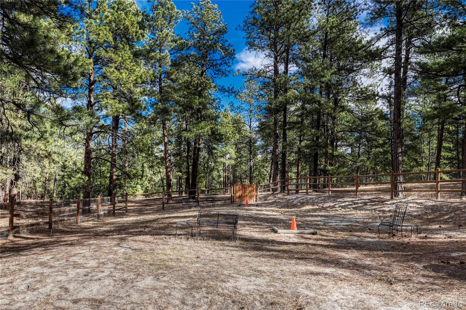 MLS Image #42 for 36424  forest trail,elizabeth, Colorado