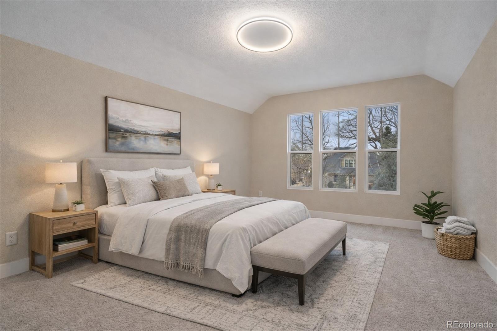 MLS Image #26 for 4277  green court,denver, Colorado