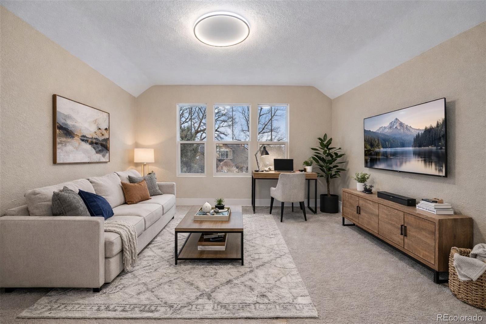 MLS Image #27 for 4277  green court,denver, Colorado