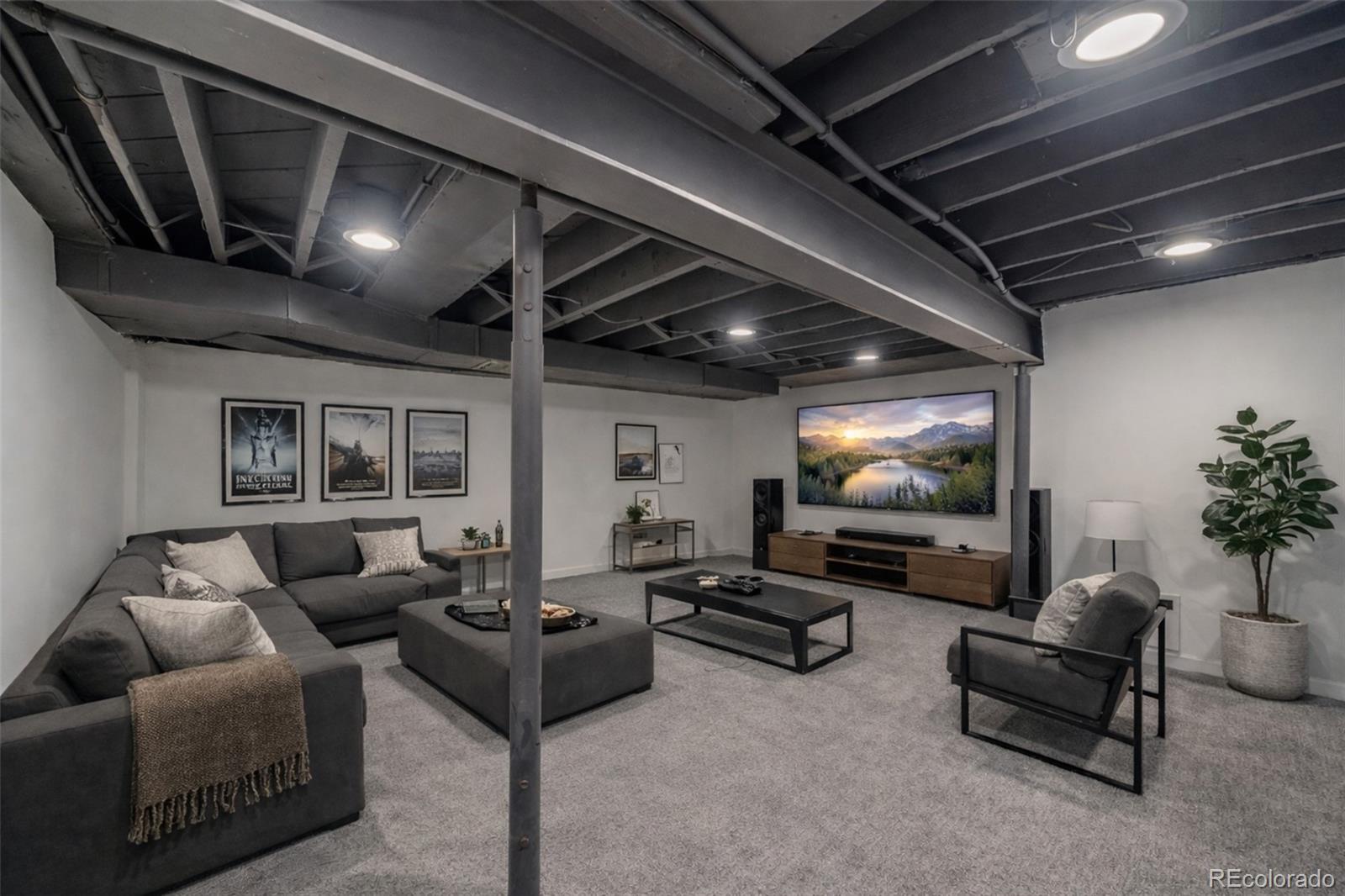 MLS Image #37 for 4277  green court,denver, Colorado