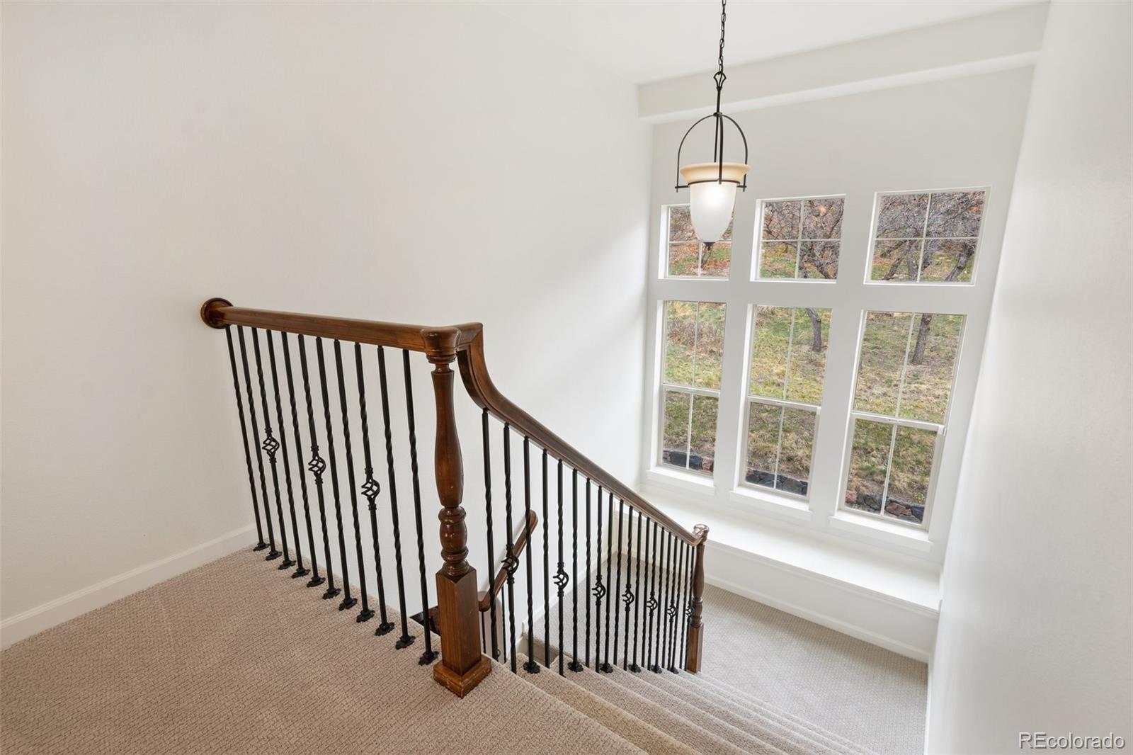 MLS Image #7 for 1868  la bellezza grove,colorado springs, Colorado