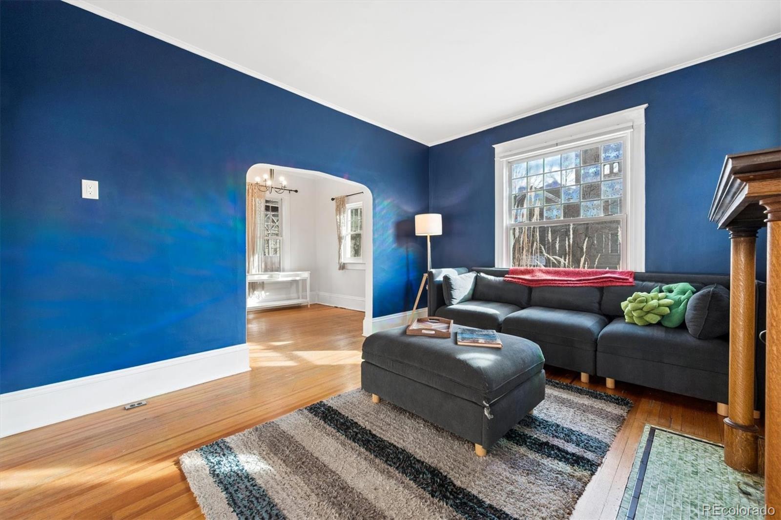 MLS Image #8 for 801 e 10th avenue,denver, Colorado