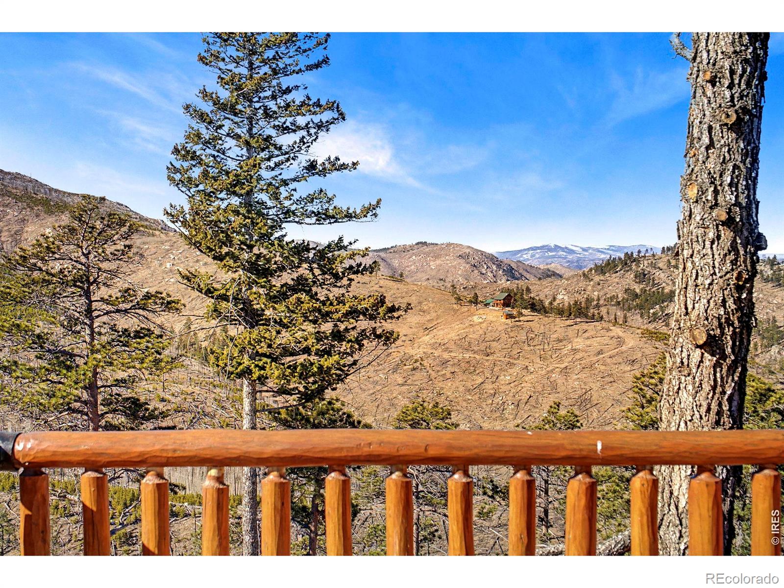 MLS Image #23 for 905  stratton park road,bellvue, Colorado