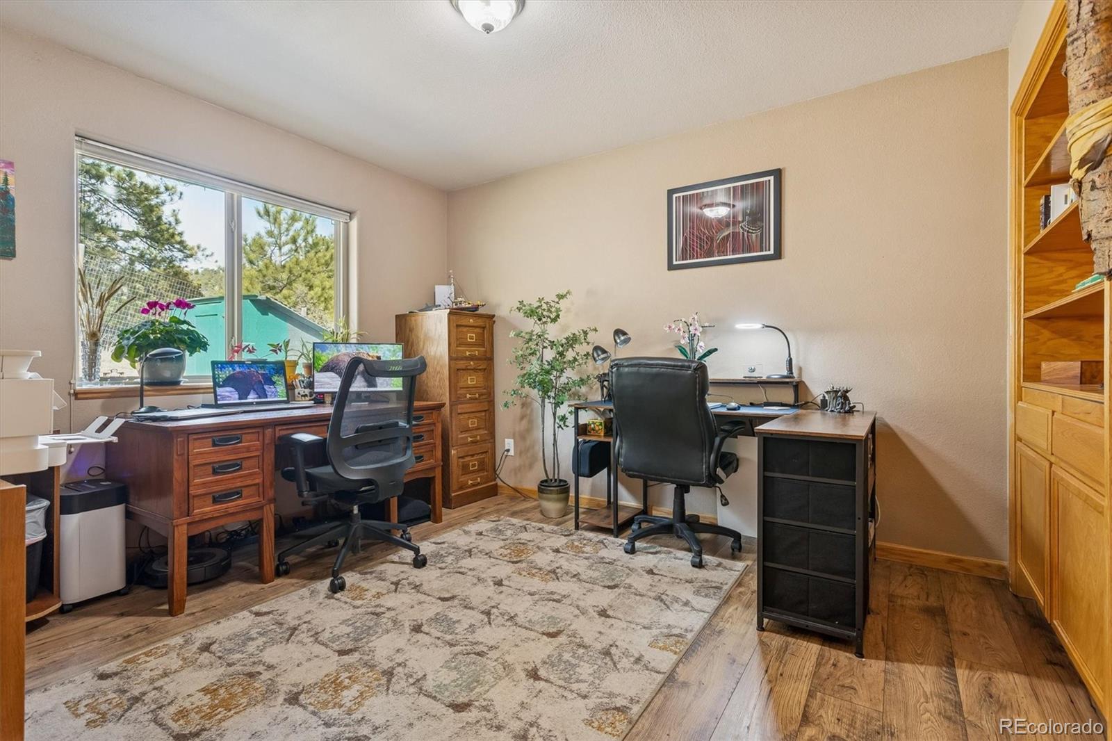 MLS Image #26 for 2230  county road 72 ,bailey, Colorado