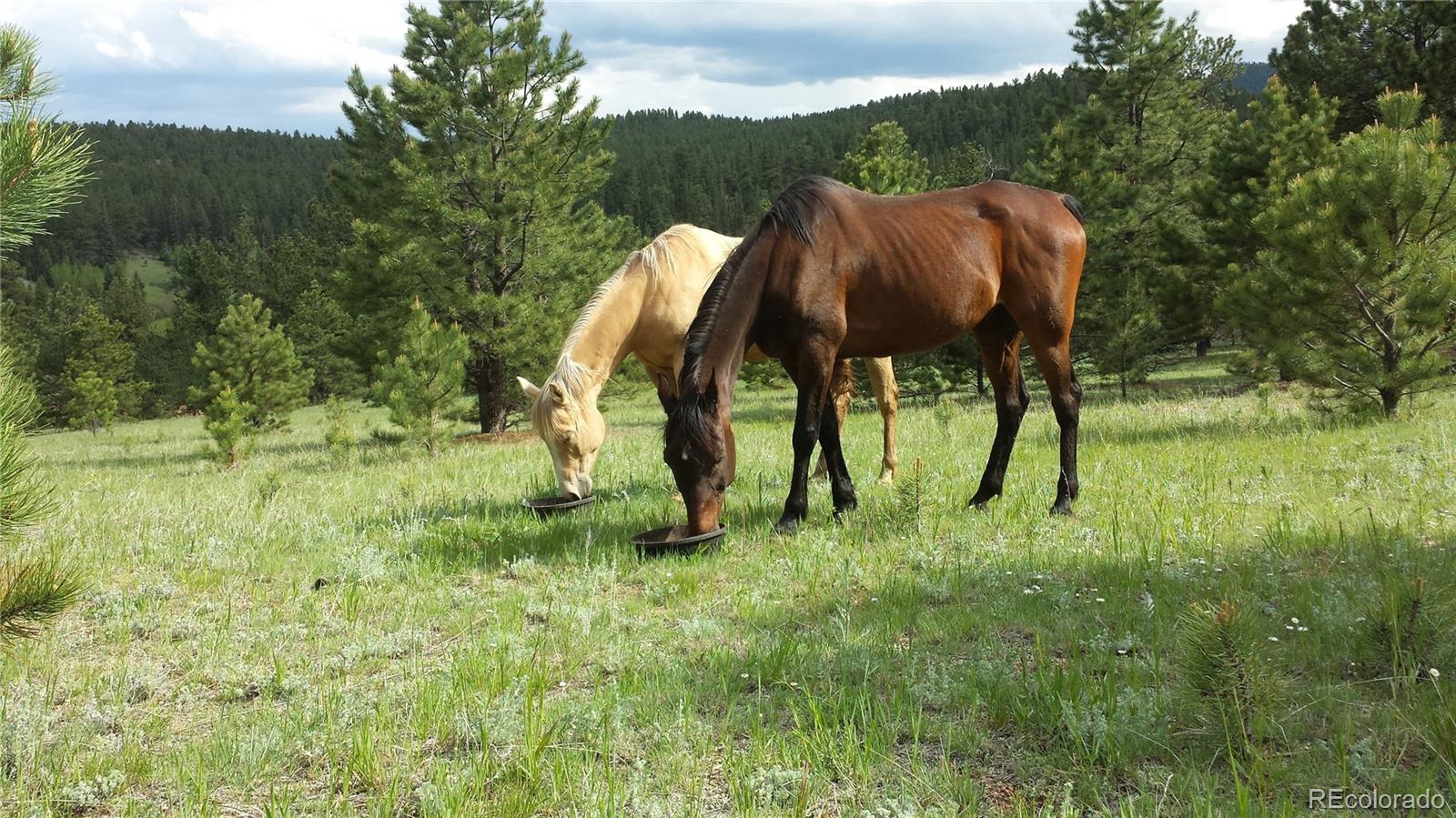 MLS Image #36 for 2230  county road 72 ,bailey, Colorado