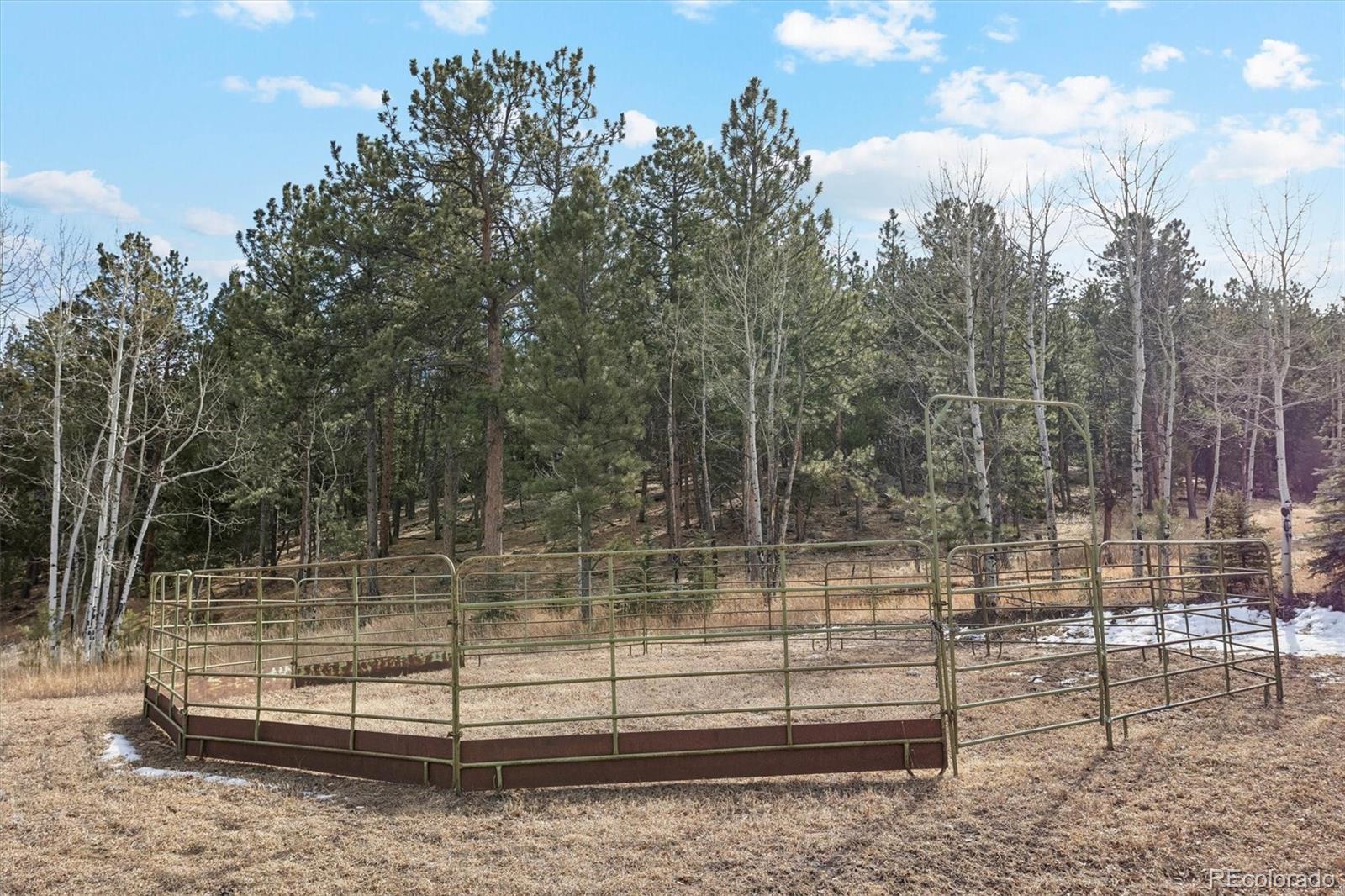 MLS Image #40 for 2230  county road 72 ,bailey, Colorado